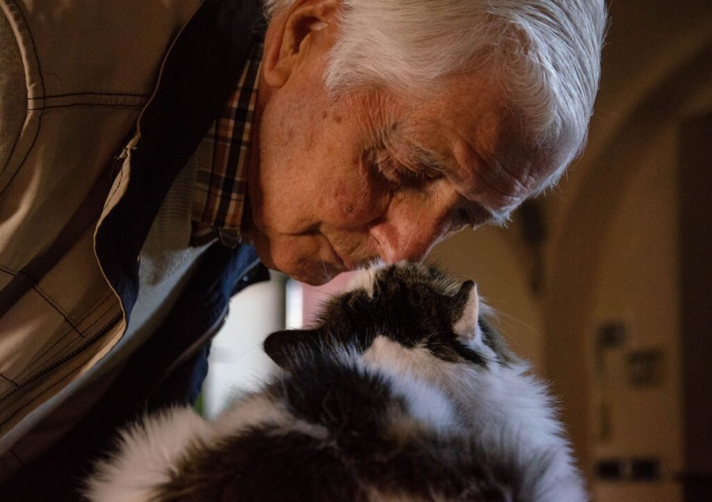 La REAA celebra su IV Encuentro sobre el estatus del animal no humano en la familia y la sociedad